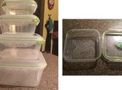 Product Review Ozeri’s Food Storage Containers