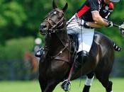 Polo Team Sport Played Horseback.