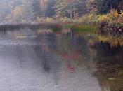 Wilderness Economics