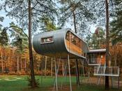 Modern Retreats Forest