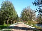 Energia24 Hour Race Belfast 2016