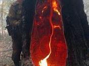 Every Biome Earth Actively Dying Right