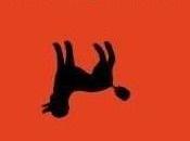 Book Review: Curious Incident Night-Time