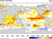World Water Sees Floods, Floods Everywhere
