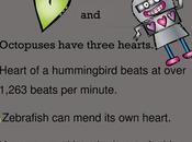 Hearts Valentine Challenges