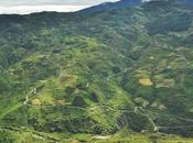 Favorite Cycling Routes: South Yungas (Bolivia)