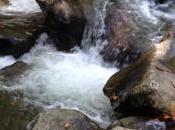 Should Sell Since Market Down?