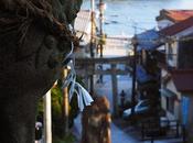 美しい坂越湾に抱かれた港町，坂越 Sakoshi, Beautiful Port Town Long History.