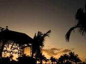 Phish 2016 Mexico Torrents: Riviera Maya 2016/01/17