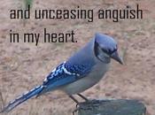 Scripture Photo: Anguish ("Church Bulletin" Series)