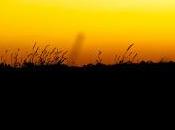 Simple Grass Cutter: Elder Tale