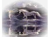 Angels(dedicated Andy)