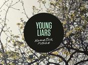 Young Liars Colors