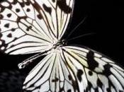 Latest Cancer-fighting Medical Tools