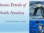 Book Review–Petrels, Albatrosses Storm-Petrels: Photographic Guide
