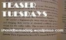 Teaser Tuesday [26] Above Leah Bobet