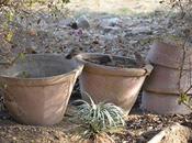 February 2012 (365 Photo Challenge)