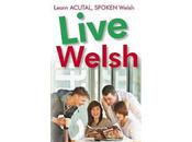 David's Launch Book Welsh Learners Will Love Grammarians Hate