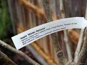 Delivery from Apple Store!