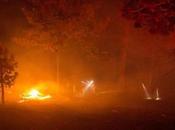 Reporting Fire Sends Mixed Information