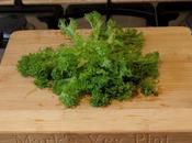 Harvest Monday 25th January 2016