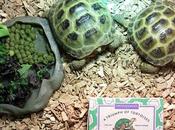 Michelle: Bertle Eric