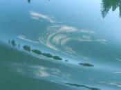 Thinking About Thought