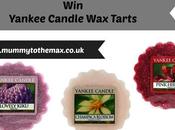 Yankee Candle Tart Melts