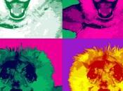 Upcoming Release Named Gucci