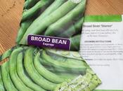 Planning Broad Bean Bonanza