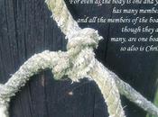 Unity, Disunity, Breaking Fellowship- Real Life Tale