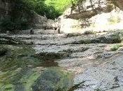 Effect Interest Rates Bonds