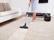 Important Hire Professional Carpet Cleaner?