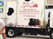 Turn Your Small Business Fleet into Money Maker