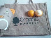Organic Harvest Shea Repair Balm Review
