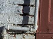 True Love Isn't Candy Flowers Valentines