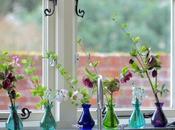 Monday Flowers Winter Cheer