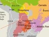 Seven Million Hectares Forests Have Been Lost Argentina Over Past Years