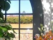 Vanderbilt's Greenhouse