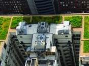 Greener, More Walkable Chicago Works