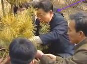 Tree Planting Marked