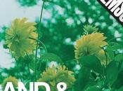 Band Beat: Remix "21" Single