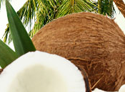 Coconut Craziness Fragrance