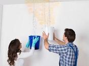 Does Your Roof Need Work? Primer Inspection Repair