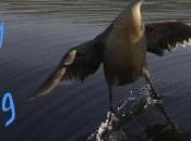 Sunday Surfing 13/3/16