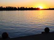 Home Emptying Nester