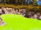 Weird Unusual Tourist Attractions Zealand