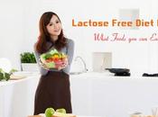 Lactose Free Diet Plan: What Foods Eat?