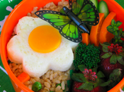 What’s Your Lunchbox?