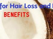 Coconut Hair Loss Growth: Benefits